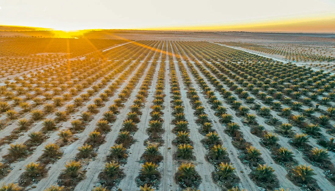  نعمل على استخدام أحدث التقنيات 