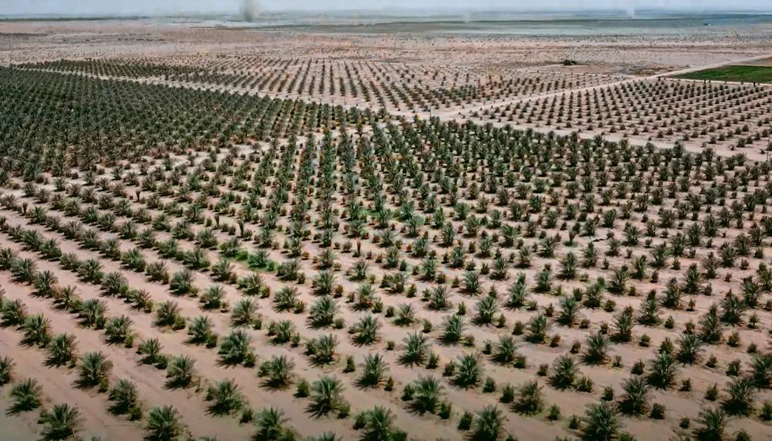  مشروعك...مع هنكليز 